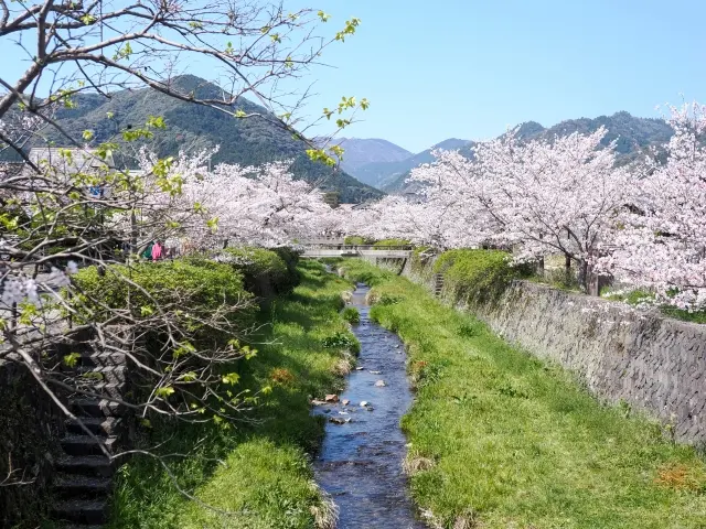 山口(一の坂川)
