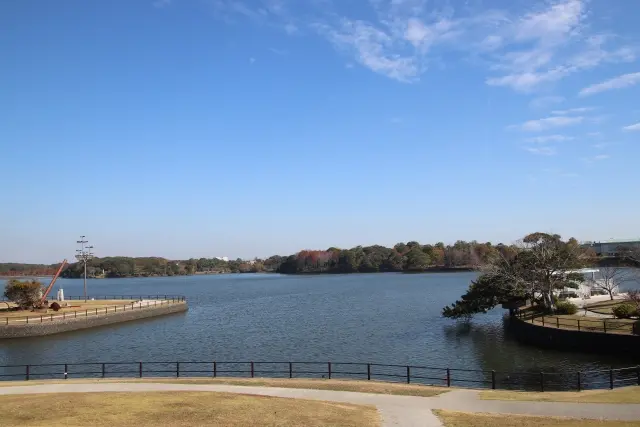 宇部市ときわ公園