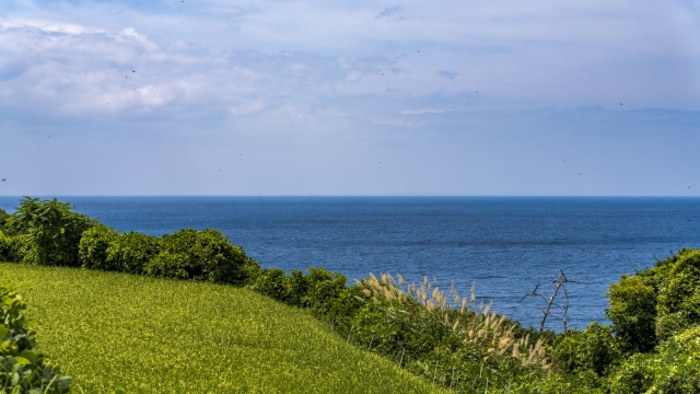 susa-hornfels-walking-path